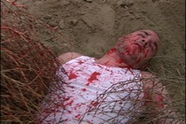Gino lying on the ground after a staged tumbleweed attack